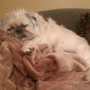 Meet your Posher, Robyn